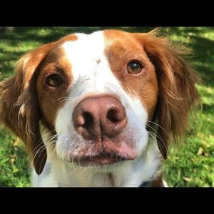 Meet your Posher, Tori